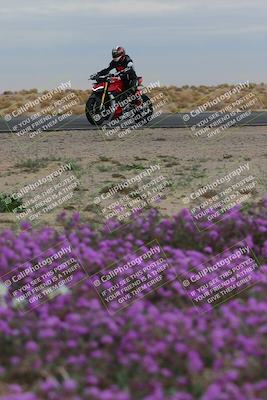 media/Jan-14-2023-SoCal Trackdays (Sat) [[497694156f]]/Turn 14 Exit Bloomig (145pm)/